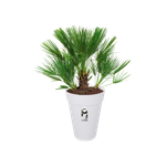 loft urban round high 28cm white